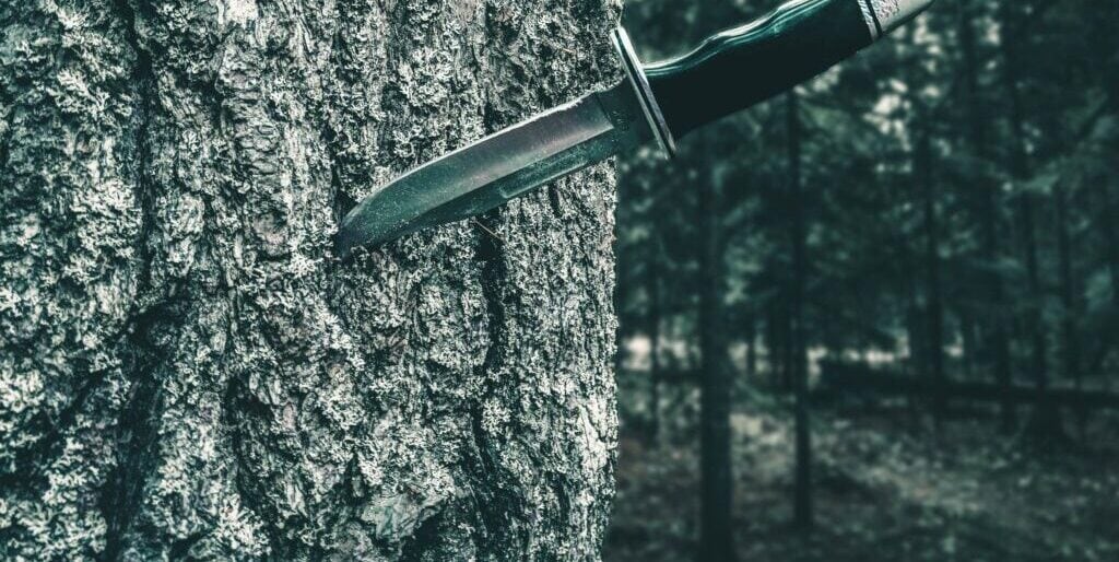 6 Best Camping Knives
