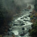 How to Purify Water In the Wild