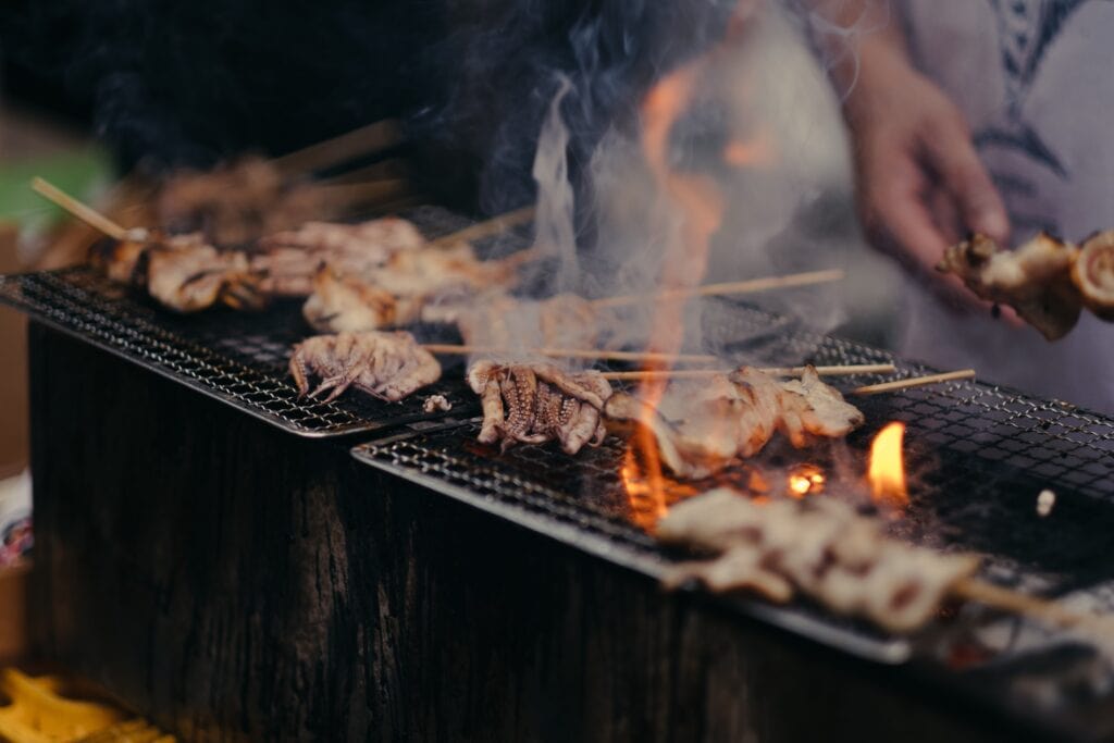 The Best Camping Griddle