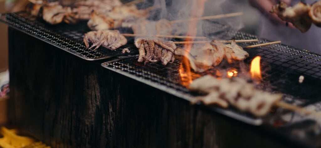 The Best Camping Griddle
